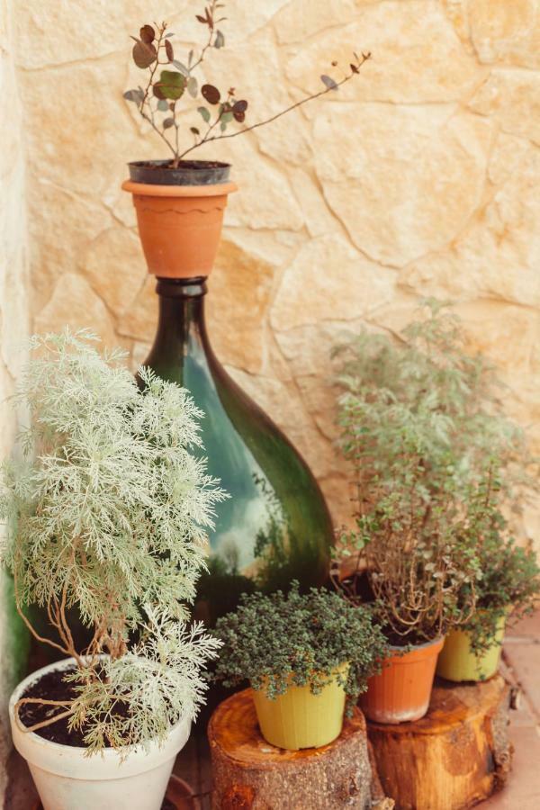 B&B Artemisia 알게로 외부 사진
